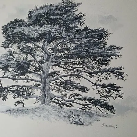 Alojamento de Acomodação e Pequeno-almoço Cedarwood *