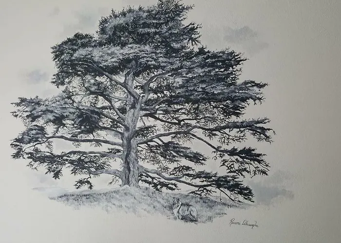 Alojamento de Acomodação e Pequeno-almoço Cedarwood *