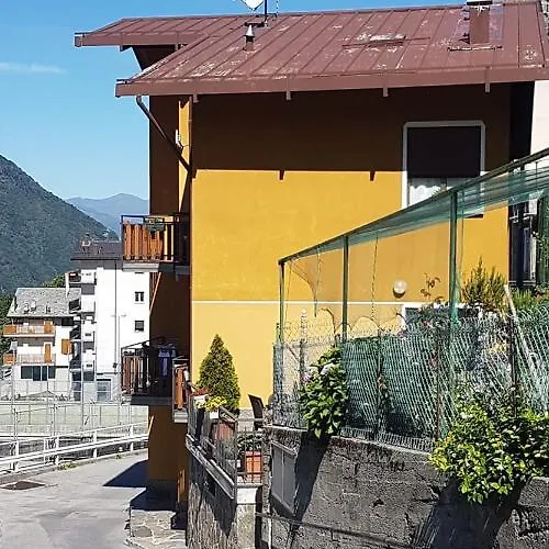Cedarwood *