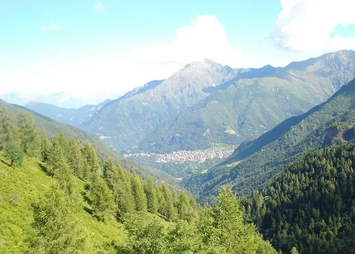 Cedarwood Couette-café